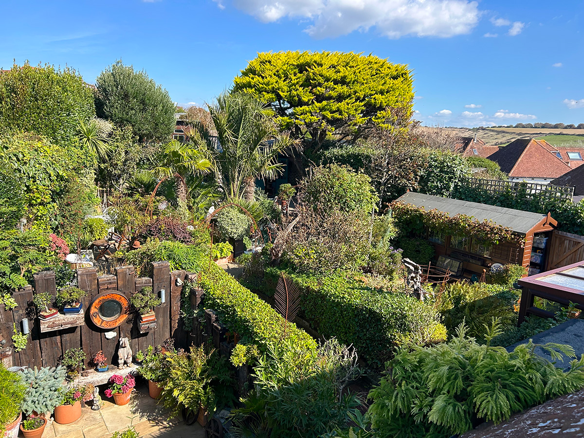 Trimmed hedges at Driftwood