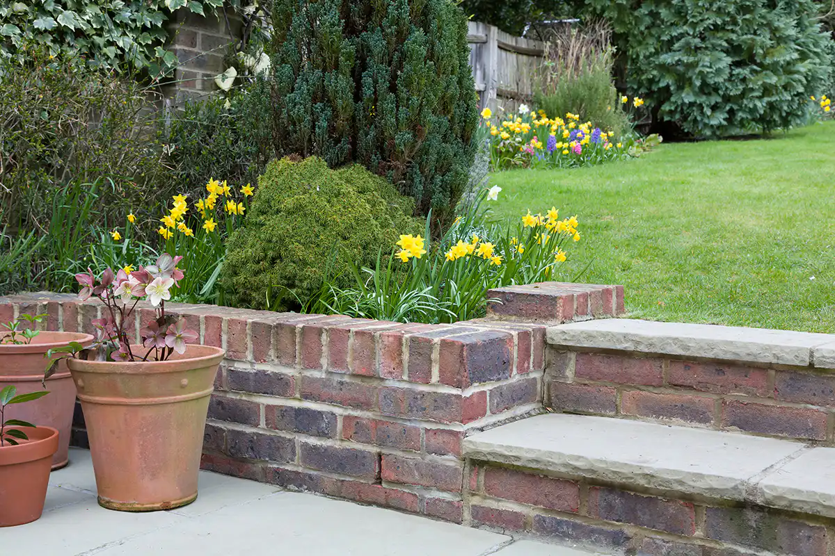 Garden in spring