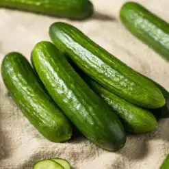 Cucumber Snack Tiny Tot