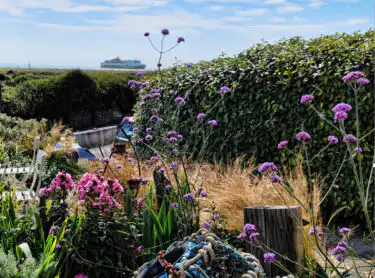 Hedging forms a natural windbreak at Driftwood