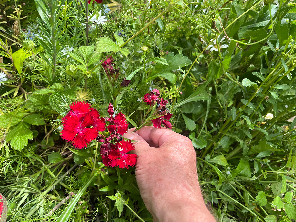 Deadheading 