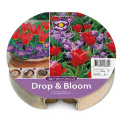 Drop & Bloom Bulb Tray Tulip & Crocus Mix