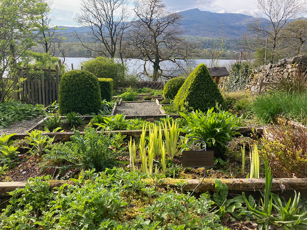 Inclusus Medicinal Herb Garden, Brantwood.