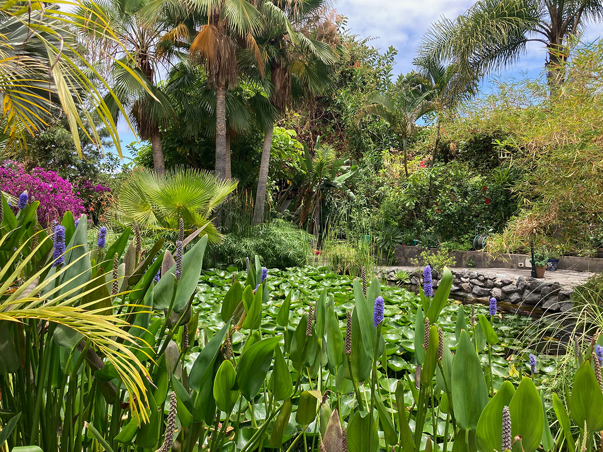 The Tropical Sitio Litre Garden in Tenerife