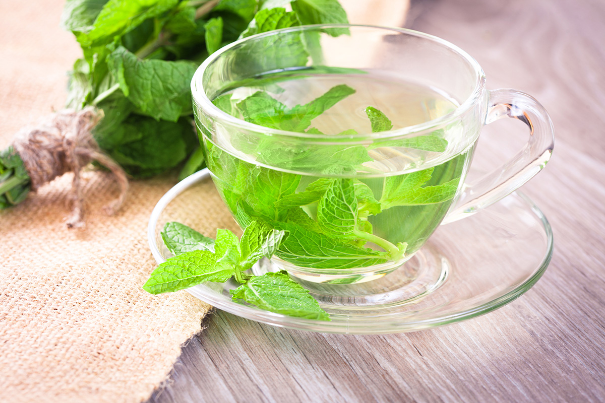 Tea made from using fresh mint leaves