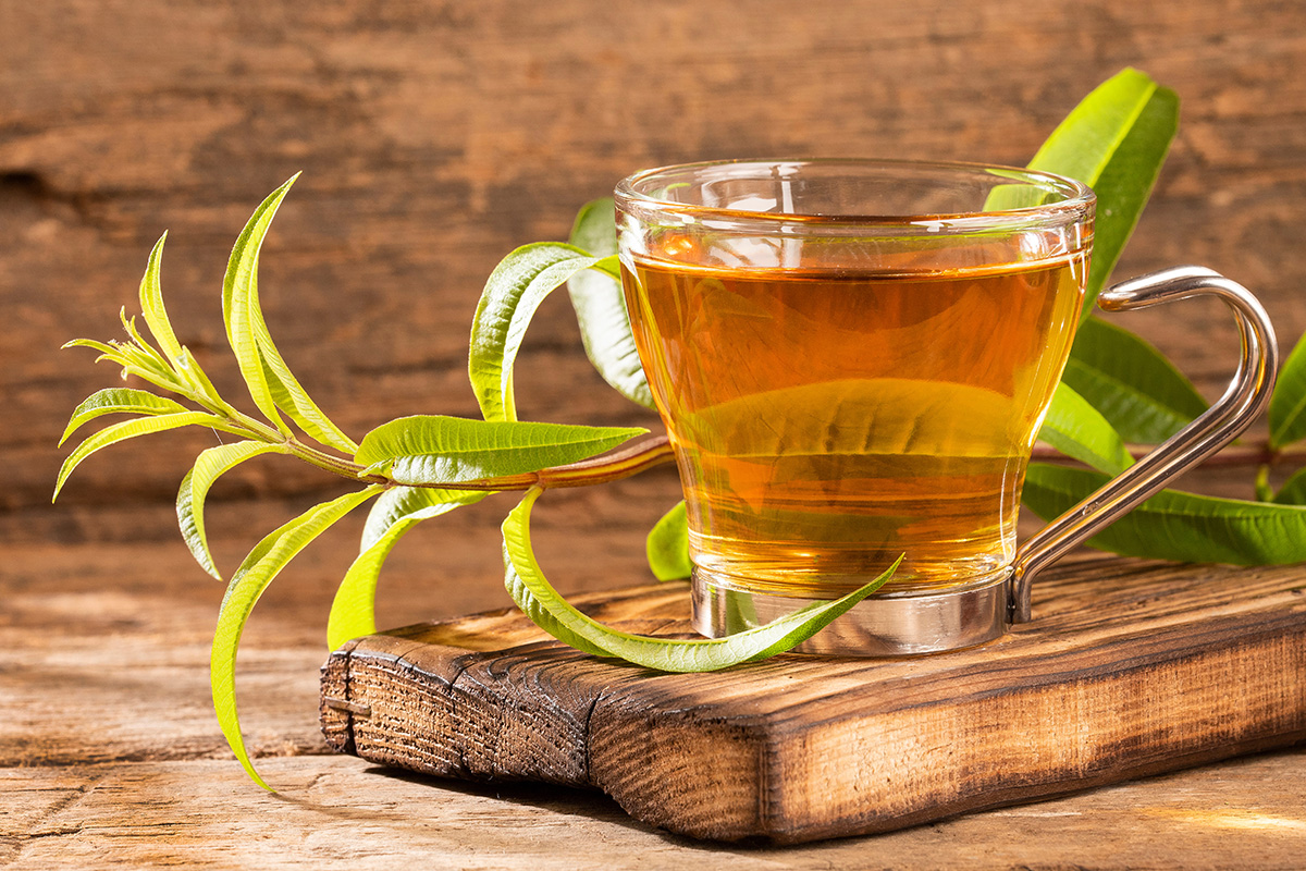 Tea made from using fresh lemon verbena leaves