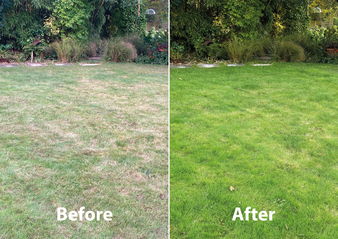 Autumn Lawn Booster - RJ Garden test 2025