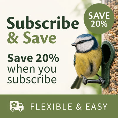 Subscribe & Save 20%