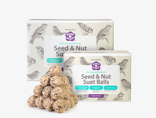 Seed and nut suet balls