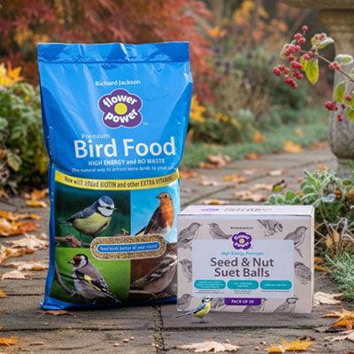 Shop Bird Feeds