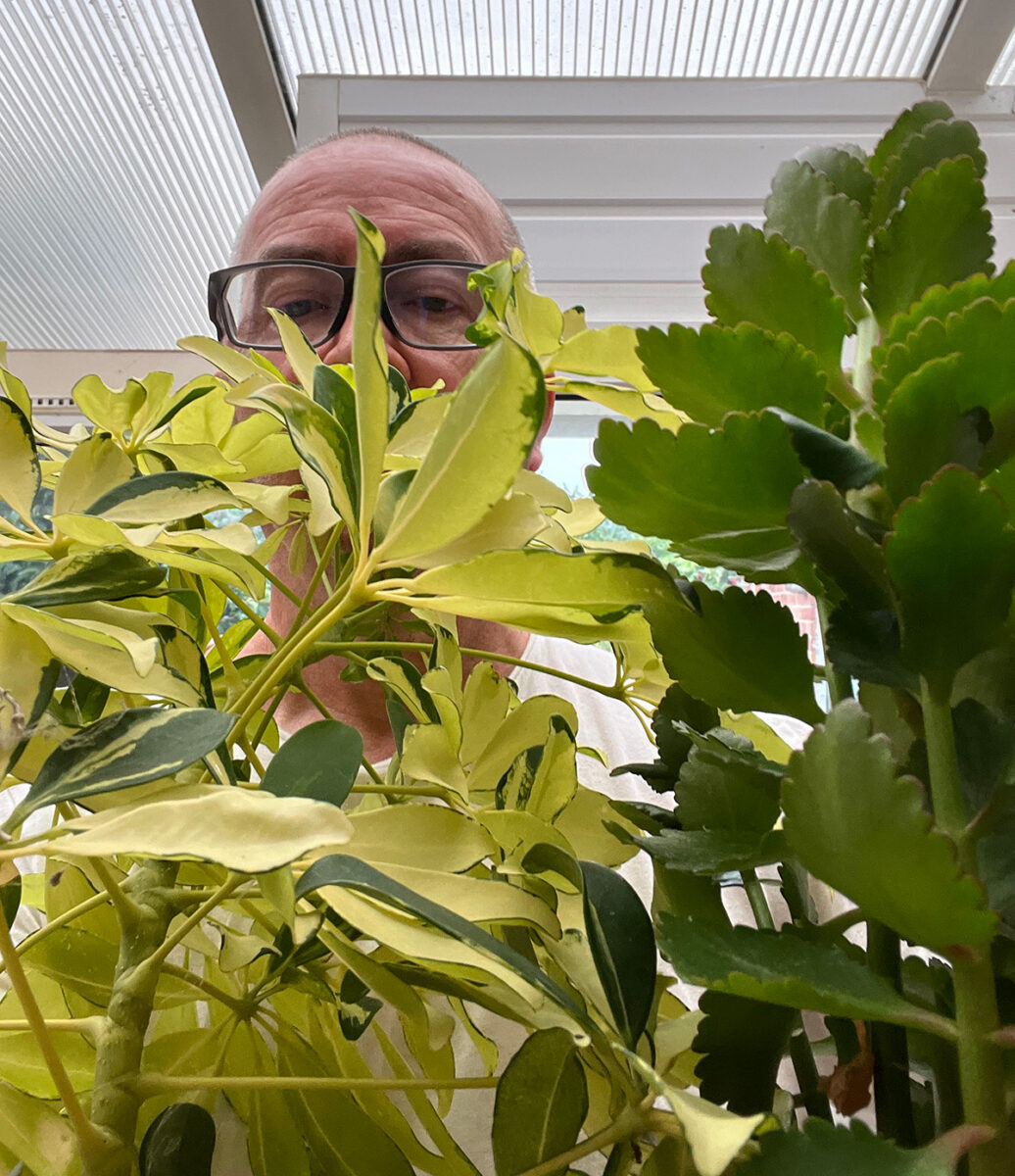 Geoff carrying houseplants indoors