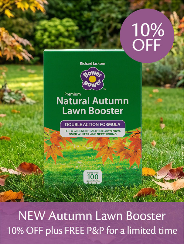 Autumn Lawn Booster