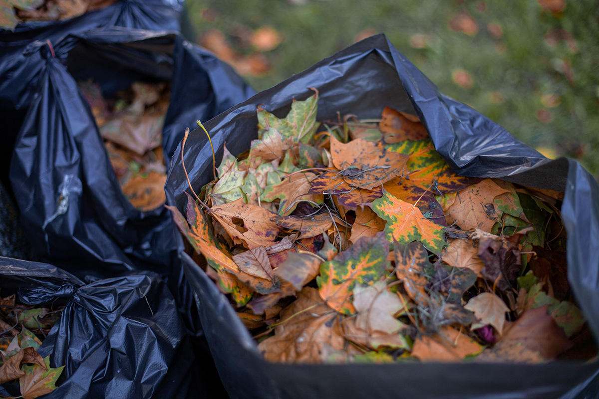 collected autumn leaves in black bags