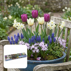 Drop & Bloom Bulb XL Tray Pastel Mix